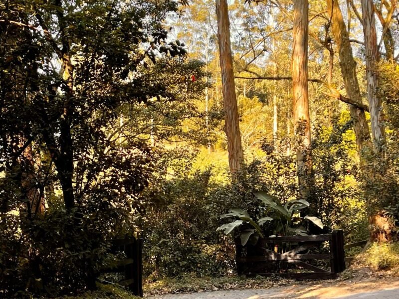 6. Finca en Girardota