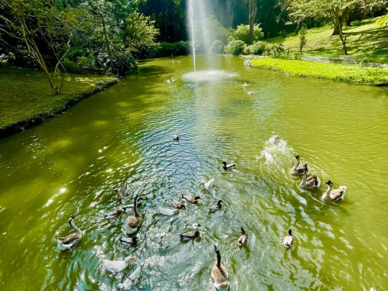 6. Finca en Girardota