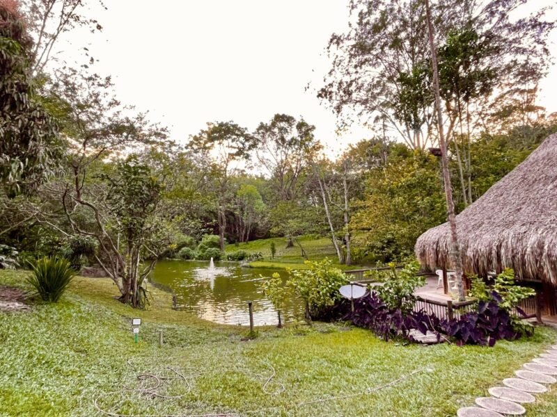 6. Finca en Girardota