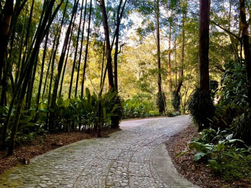 6. Finca en Girardota