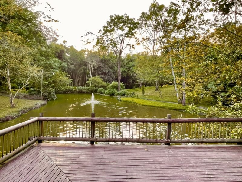 6. Finca en Girardota