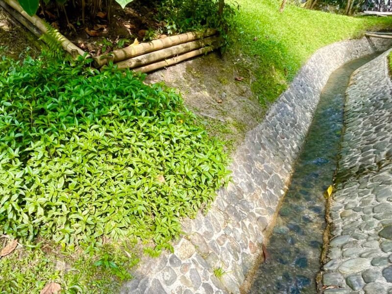 6. Finca en Girardota