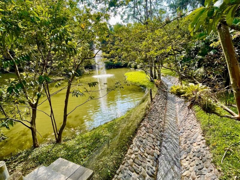 6. Finca en Girardota