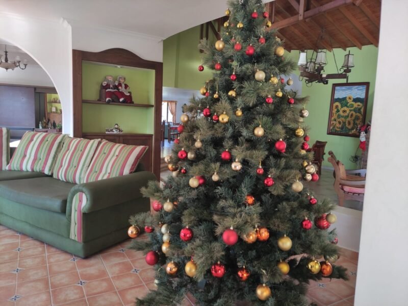 17. Finca en Copacabana