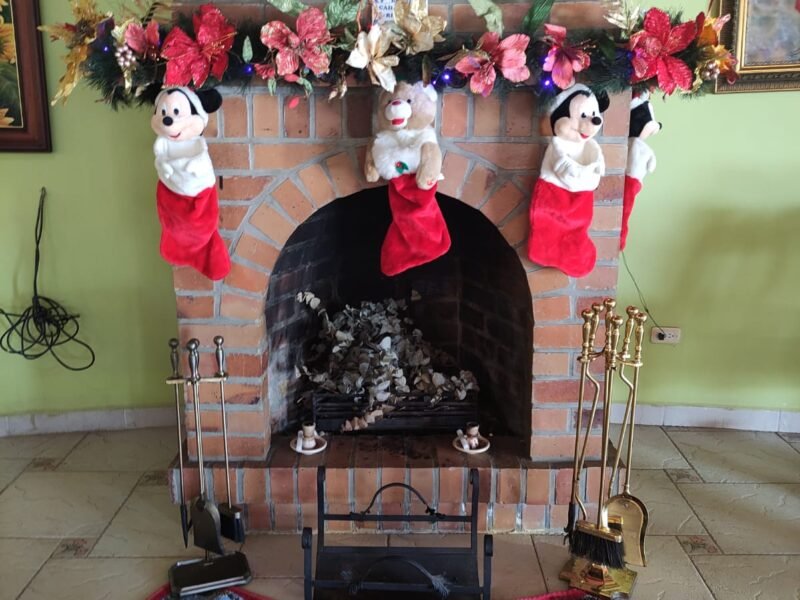 17. Finca en Copacabana