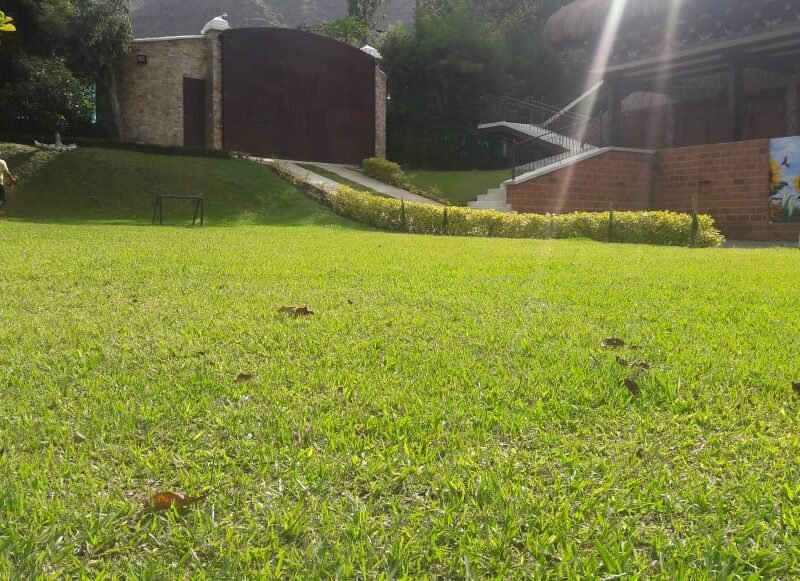 15th birthday celebrations