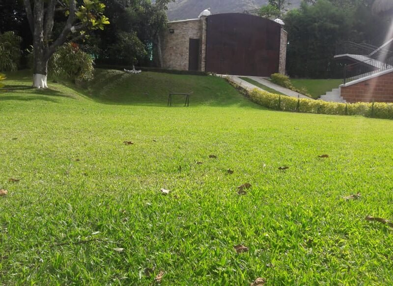 15th birthday celebrations