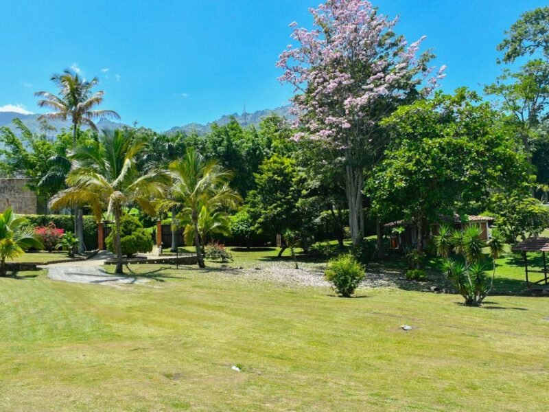 12. Finca en Parcelación El Limonar