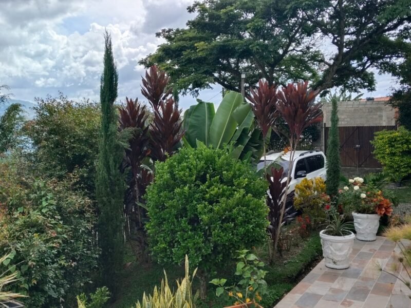 29. Finca en Parcelación El Limonar