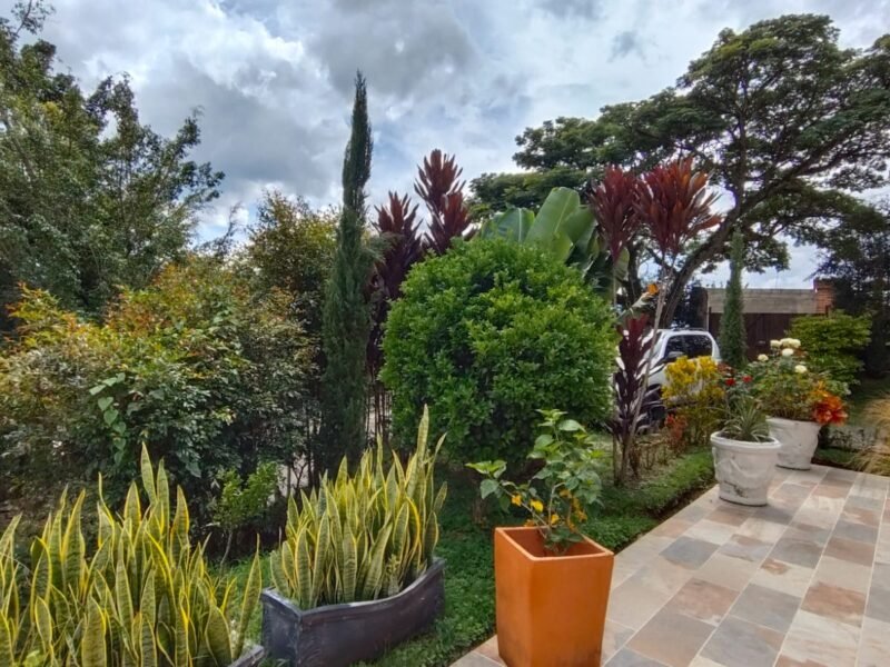 29. Finca en Parcelación El Limonar