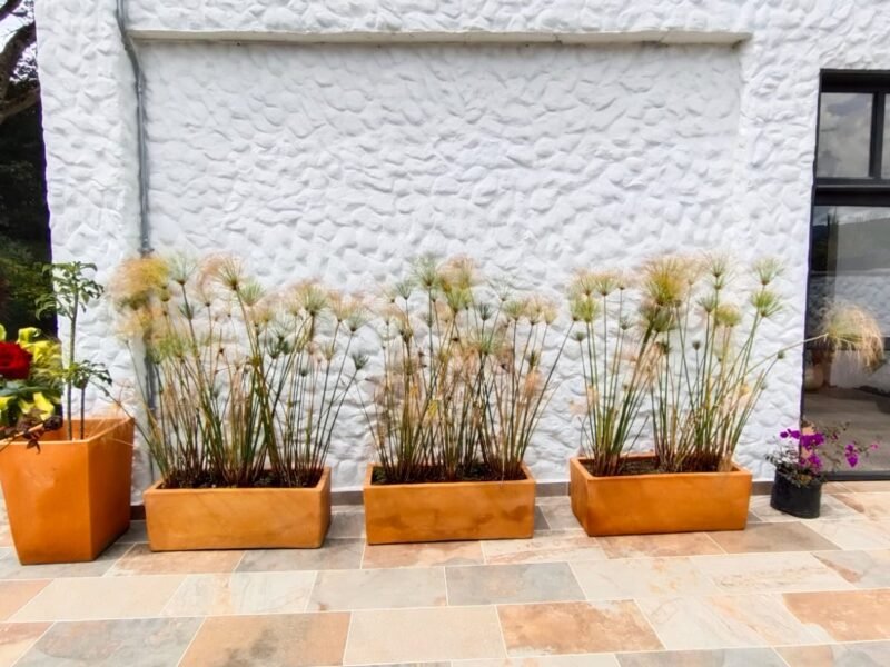 29. Finca en Parcelación El Limonar