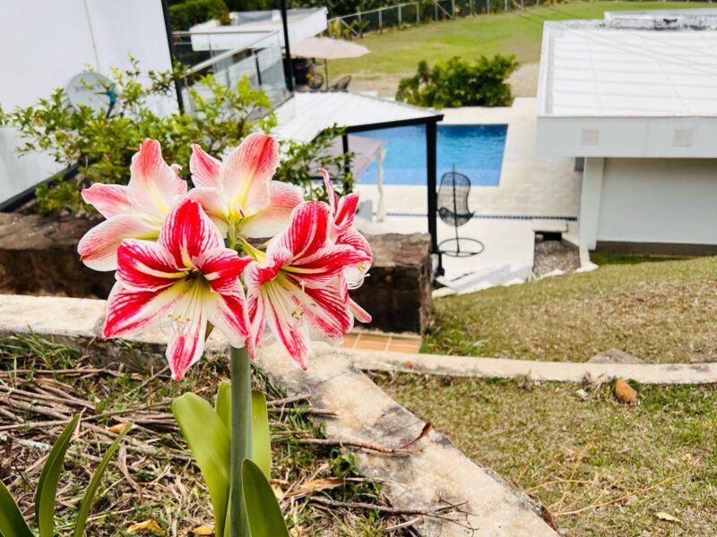 23. Finca en Copacabana verdeda la Chosca