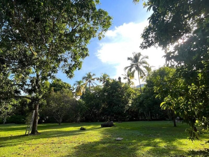 34. Finca en Santa Fe de Antioquia