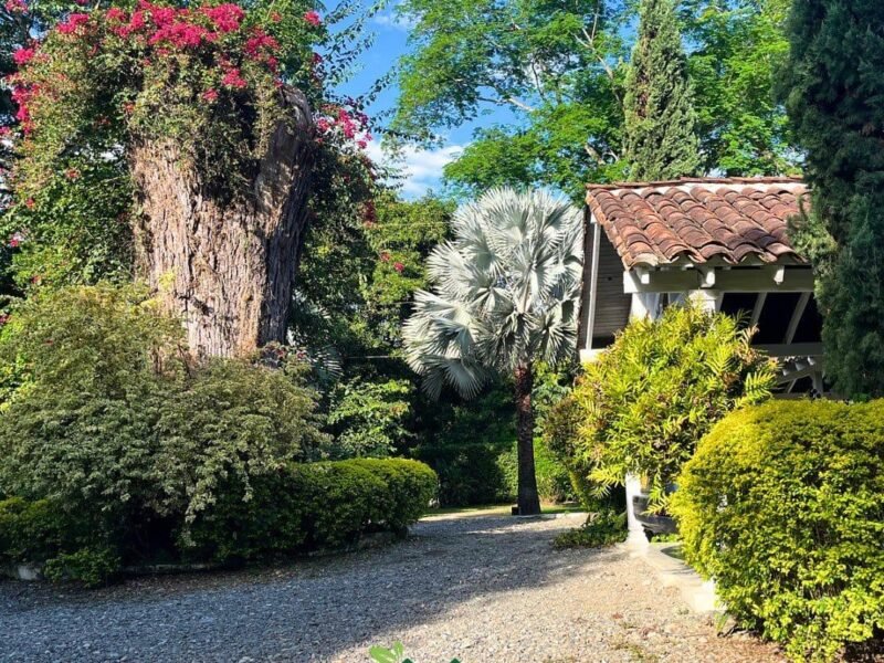 34. Finca en Santa Fe de Antioquia